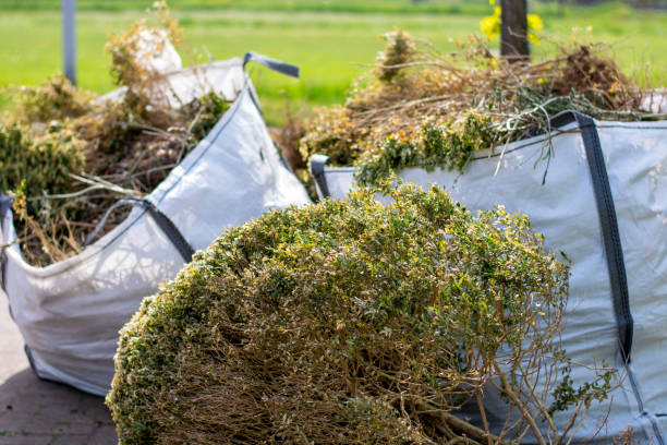 Best Electronics and E-Waste Disposal  in Petersburg, MI